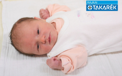 Bodrogi Hanna, Csorna