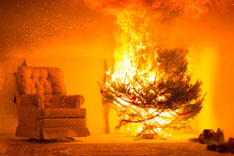 Legyünk körültekintőek a kiszáradt karácsonyfák közelében! 
