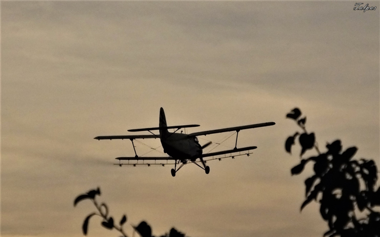 Pótolják a hőség miatt elmaradt kezeléseket 