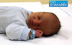 Schneider Lajos, Rajka