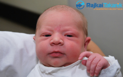 Kiss Krisztina Erzsébet, 3280 gr. Halászi