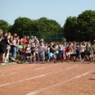 XV. Greiner Szigetköz Félmaraton