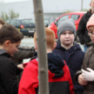 Kőrisfacsemetéket ültettek a diákok a Nolato Magyarország Kft telephelyén