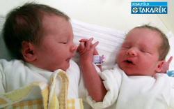 Györfi Níla és Györfi Alen, Levél