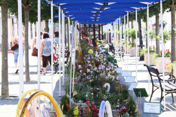 Virágzó Város Mosonmagyaróvár 2. nap (Fotó: Stipkovits Veronika)