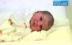 Fábián-Nagy Janka, Csorna