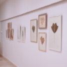 Borbély Károly képzőművész kiállítása a Flesch Károly Kulturális Központban ( Fotó: Patács Judit )