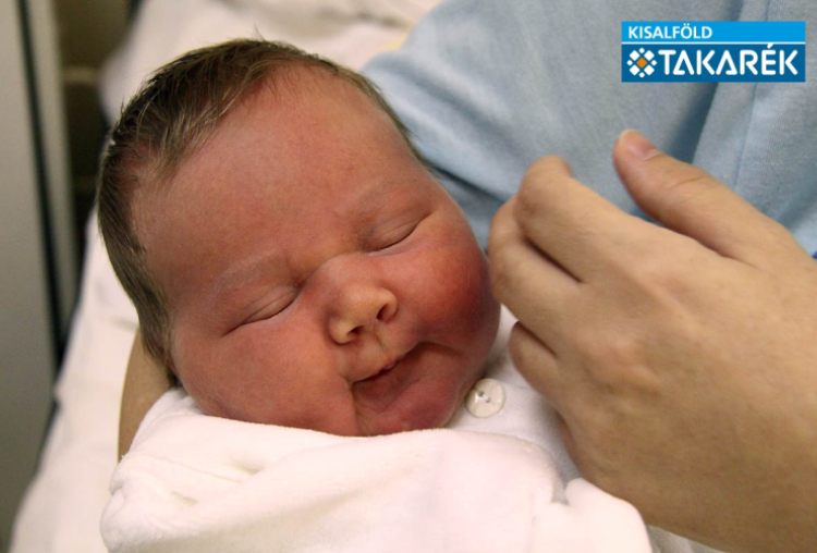 Elek Abigél, Mosonmagyaróvár