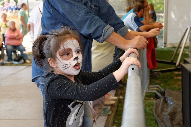 Szigetköz ízei, vármegye borai fesztivál / VÁRMEGYE SZÉPE - VÁRMEGYE HANGJA (Fotó: Horváth Attila)