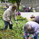 Virágosítás a városközpontban