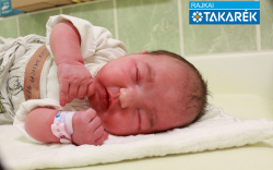 Erdei Mira, Rábakecöl