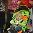 Mosonmagyaróvári Fotóegyesület Őszi kiállítása (Fotó: Nagy Mária)