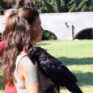  Szigetköz ízei, Vármegye borai Fesztivál 2. nap (Fotó: Stipkovits Veronika, Bánhegyi István)