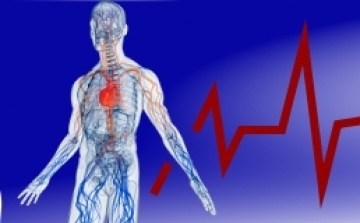 Magyar Szív Egyesület gyűlése