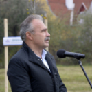 Országfásítási program Mosonmagyaróvár