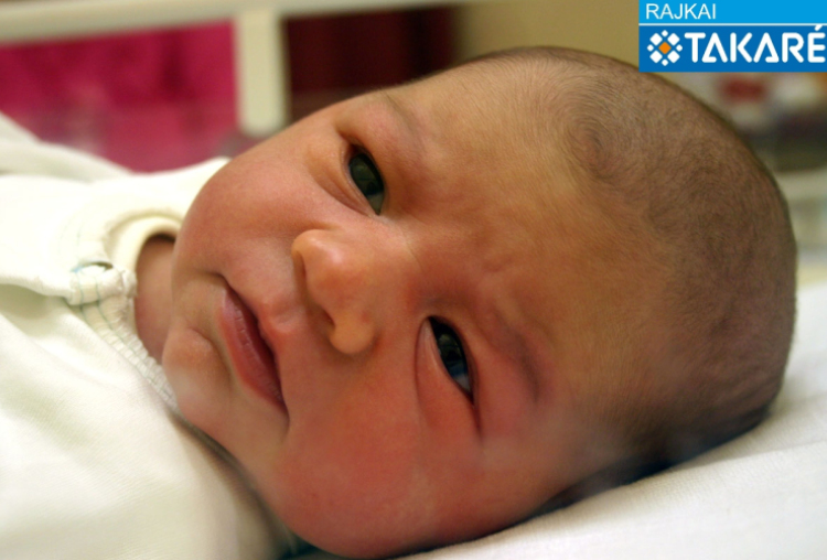 Steininger Balázs, Mosonmagyaróvár