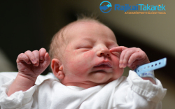 Takács Barnabás, Ásványráró