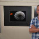 Makró című fotókiállítás (Fotó: Nagy Mária)