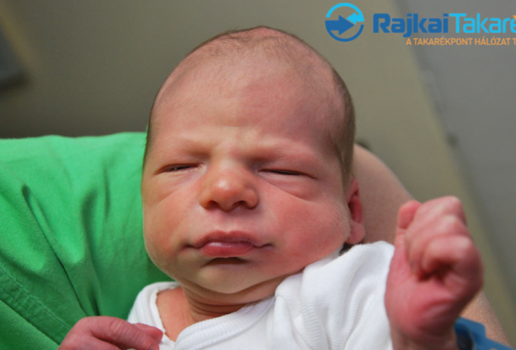 Vincze Zalán Márk, 3800 gr. Szany