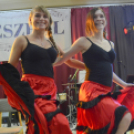 XVI. Mofém Zenészbál