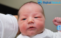 Regényi Tézeusz, 3210 gr. Mosonmagyaróvár