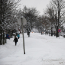 Mosonmagyaróvár Havazás után (Fotó: Nagy Mária)