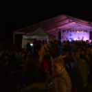 Szigetköz ízei, vármegye borai fesztivál - péntek (Fotó: Nagy Mária)