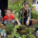 VI. Apró kezek, Csodakertek Gyermek Kertépítő verseny (Fotó: Bánhegyi István)