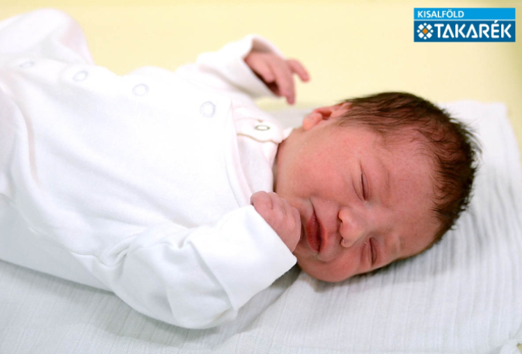 Sléber Ádám, Kapuvár