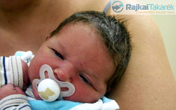 Szigeti Bálint, Mosonmagyaróvár