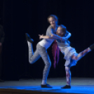 Bemutatkozik az Életfa Nagycsaládosok Egyesülete