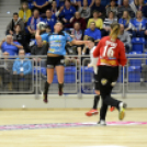 MKC SE – Alba Fehérvár KC 29-31 (17-13)