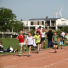 XV. Greiner Szigetköz Félmaraton