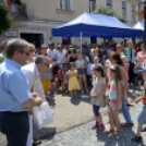 VII. Apró kezek, csodakertek Gyermek Kertépítő verseny