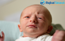 Bihari Kristóf, 2620 gr. Mosonmagyaróvár