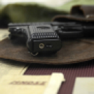 In memoriam 1956 - Hivatalos városi ünnepség 