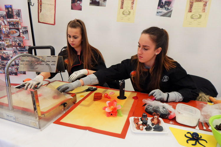 Pályaválasztási és álláskeresési információs nap Mosonmagyaróvár