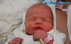 Vasenszki Réka, 3150 gr. Levél