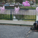 Egészség Hídja Összefogás - Lajtahidi séta