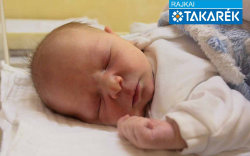 Kiss Márton, Mosonmagyaróvár