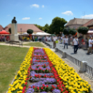 Entente Florale Day Mosonmagyaróvár - Virágzó Város Mosonmagyaróvár (Fotó: Bánhegyi István)