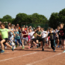 XV. Greiner Szigetköz Félmaraton