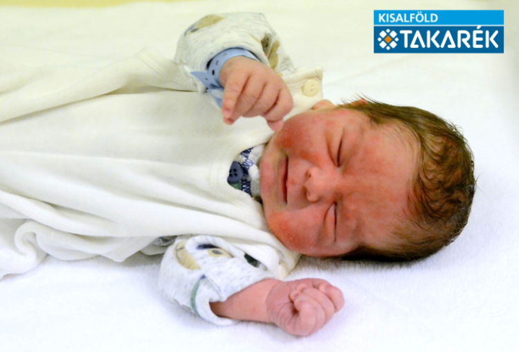 Csaplák Erik, Kimle