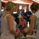 XII. Szigetköz ízei, Vármegye borai Fesztivál 3. nap