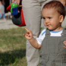 VOLUTA 2015 - Péntek (Fotó: Horváth Attila)