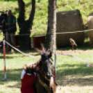 XII. Szigetköz ízei, Vármegye borai Fesztivál 2. nap