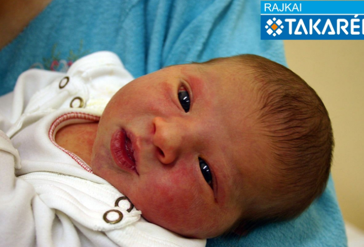 Németh Szamira, Levél