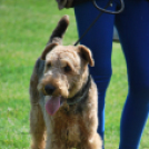 Gyerek Juniális a Kutyaiskolában