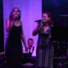 Tiszta Amerika - Vár-tó party