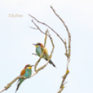 Tilai Gergely - Kerekesszéktől az önálló fotókiállításig